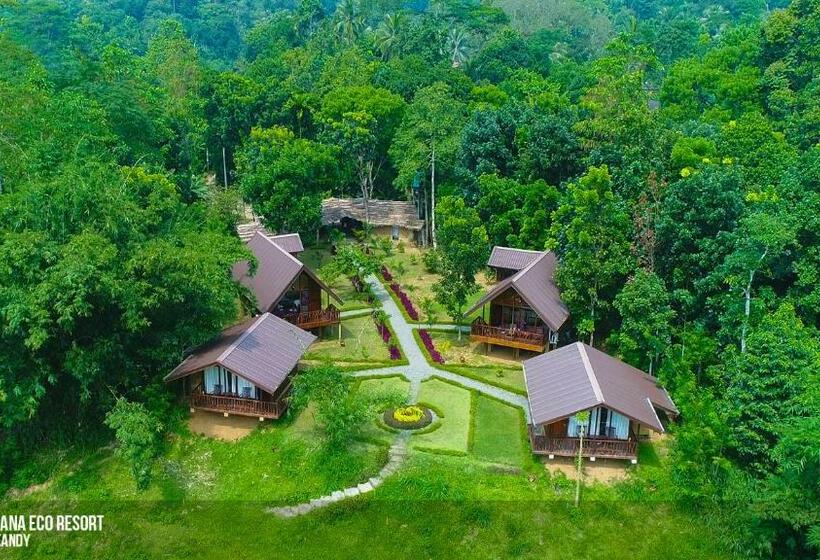 스탠다드 룸, Kandy Cabana