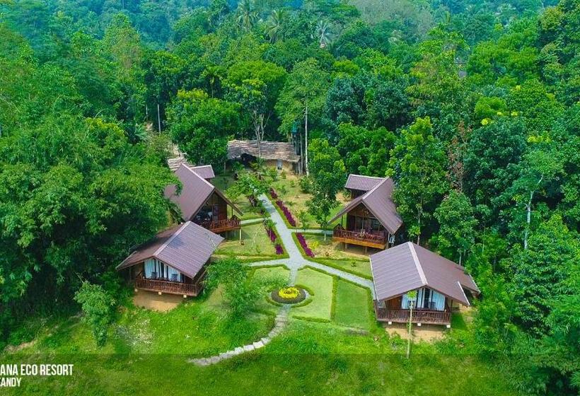 패밀리 룸, Kandy Cabana