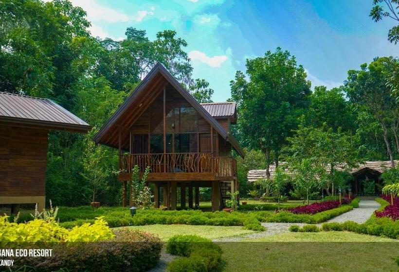 패밀리 룸, Kandy Cabana