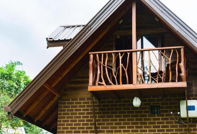 패밀리 룸, Kandy Cabana