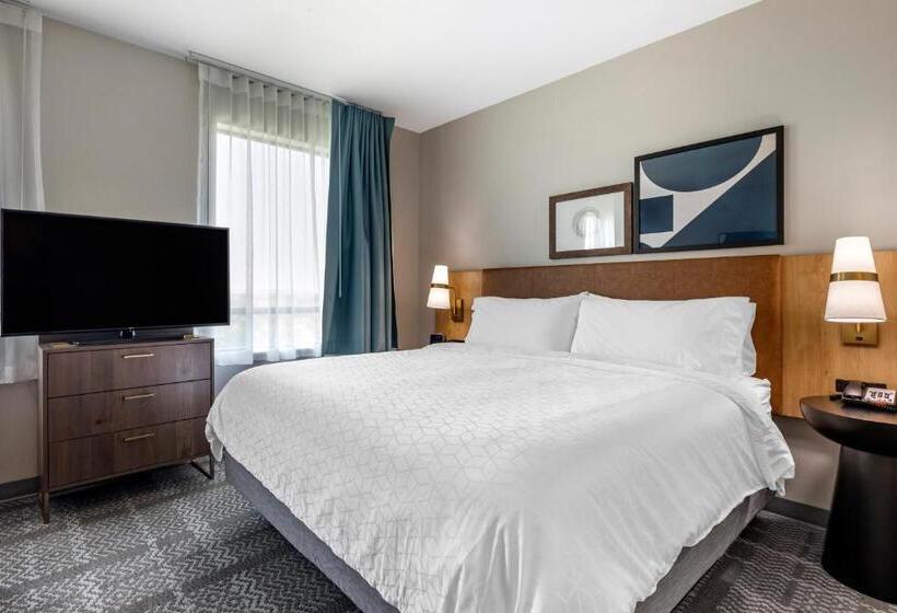 إستوديو قياسى سرير كينج, Staybridge Suites Grand Prairie Near Epic Central, An Ihg