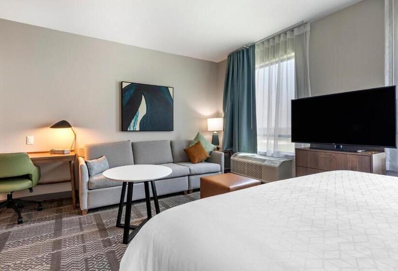 إستوديو قياسى سرير كينج, Staybridge Suites Grand Prairie Near Epic Central, An Ihg