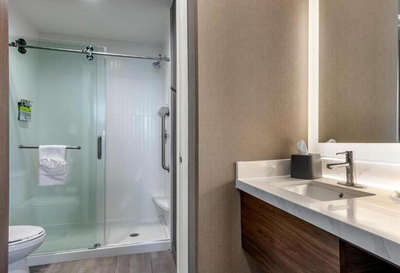 Студио Стандарт Кровать Кинг, Staybridge Suites Grand Prairie Near Epic Central, An Ihg