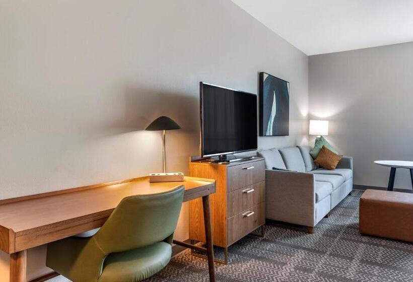 إستوديو قياسى, Staybridge Suites Grand Prairie Near Epic Central, An Ihg