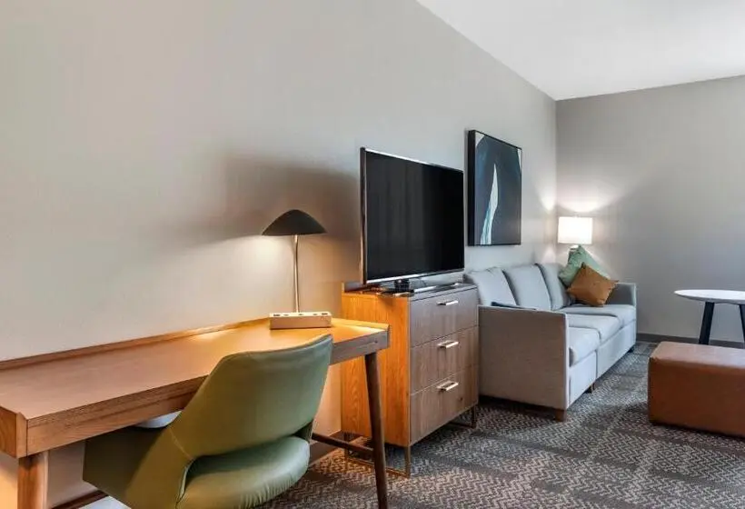 スタンダードスタジオ, Staybridge Suites Grand Prairie Near Epic Central, An Ihg