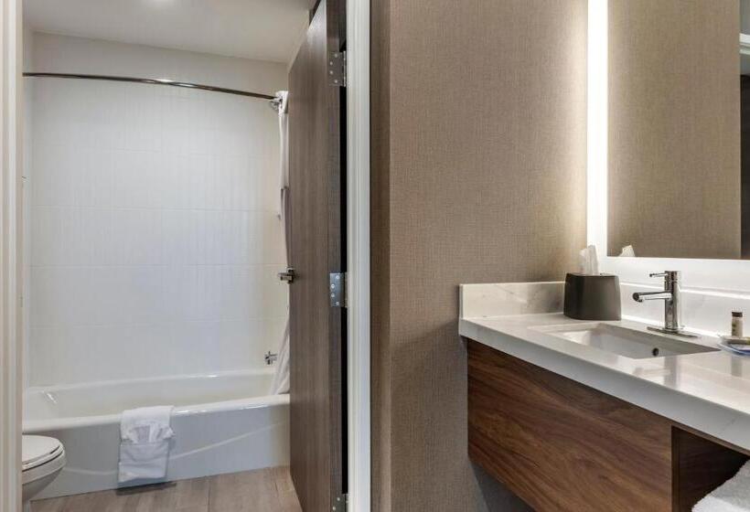 Студия Стандарт, Staybridge Suites Grand Prairie Near Epic Central, An Ihg