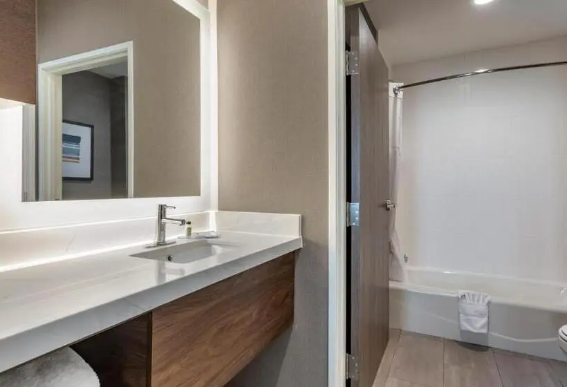スイート, Staybridge Suites Grand Prairie Near Epic Central, An Ihg