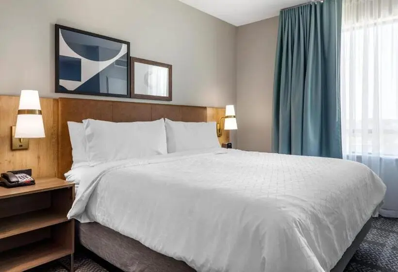 身障者適用キングサイズベッドルーム, Staybridge Suites Grand Prairie Near Epic Central, An Ihg
