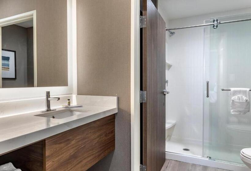 غرفة قياسية سرير كينج لذوى الإحتياجات الخاصة, Staybridge Suites Grand Prairie Near Epic Central, An Ihg