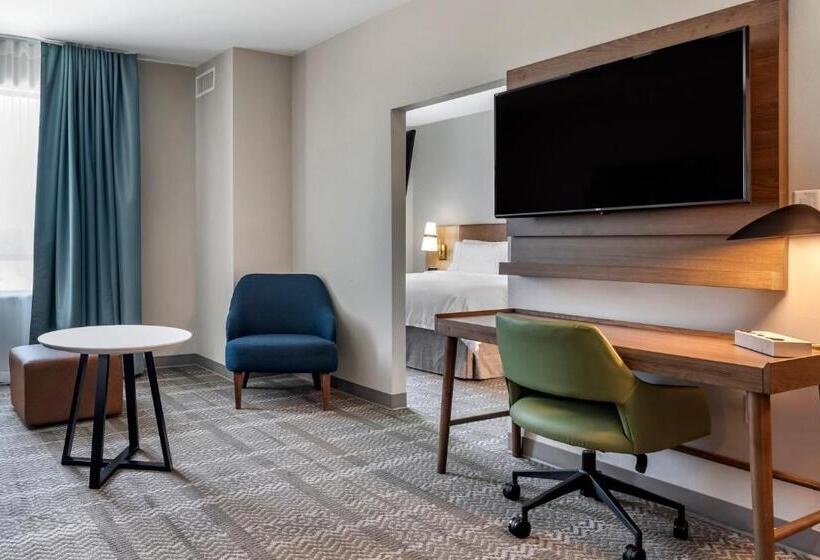 غرفة قياسية سرير كينج لذوى الإحتياجات الخاصة, Staybridge Suites Grand Prairie Near Epic Central, An Ihg