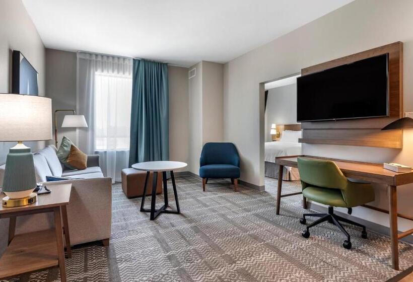غرفة قياسية سرير كينج لذوى الإحتياجات الخاصة, Staybridge Suites Grand Prairie Near Epic Central, An Ihg