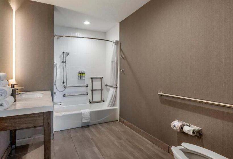 Номер Стандарт Кровать Кинг Адаптированный для Инвалидов, Staybridge Suites Grand Prairie Near Epic Central, An Ihg
