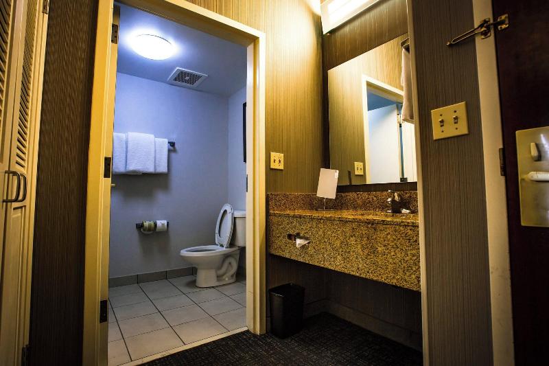 Люкс Кровать Кинг, Staybridge Suites Grand Prairie Near Epic Central, An Ihg