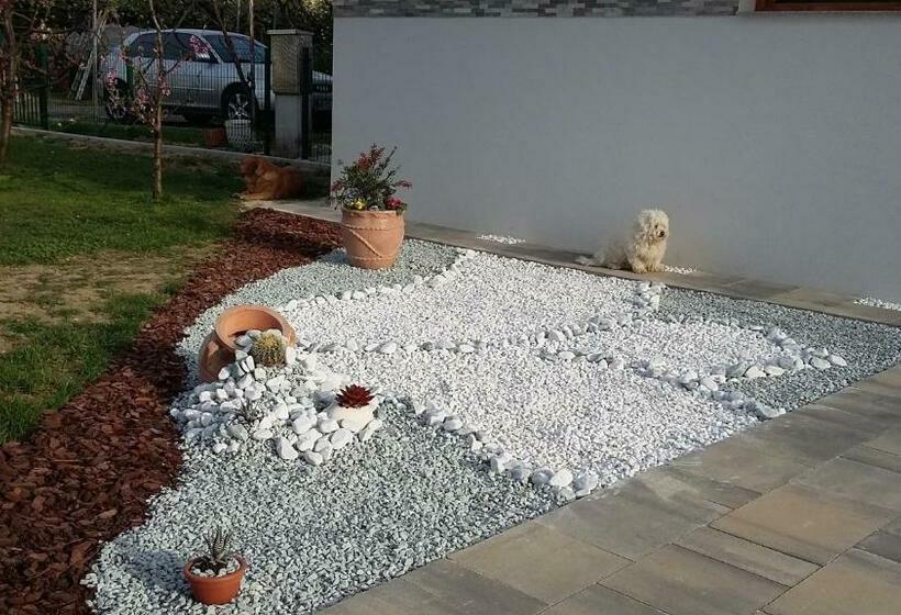 اتاق استاندارد, Guest House Tara