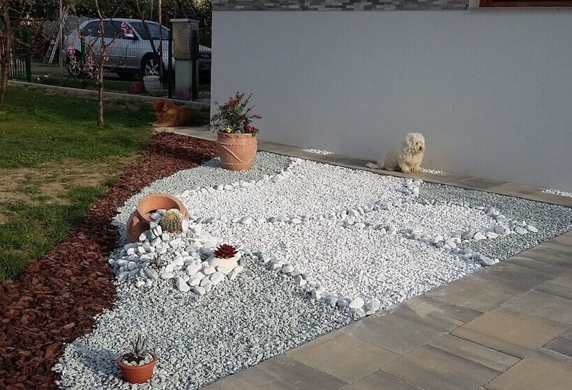 اتاق استاندارد یک نفره, Guest House Tara