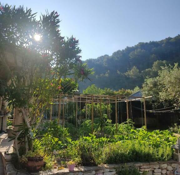 标准房带园景, Le Frangipanier