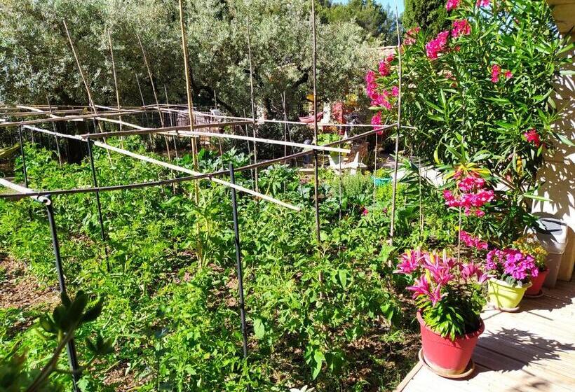 标准房带园景, Le Frangipanier