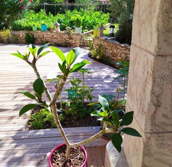 标准房带园景, Le Frangipanier