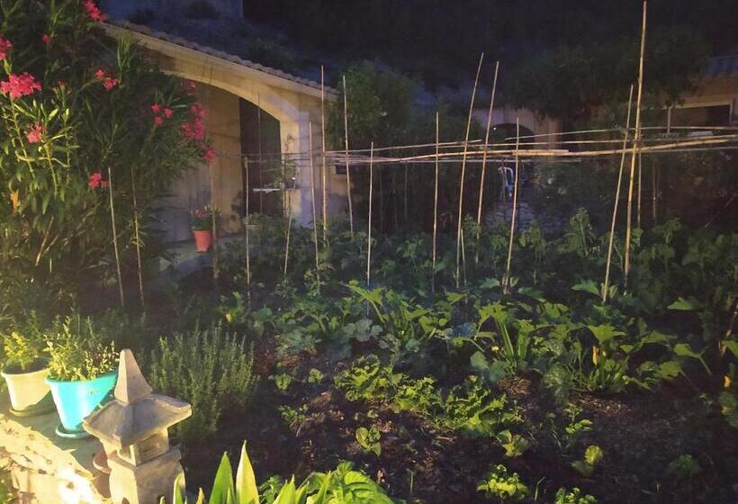 标准房带园景, Le Frangipanier