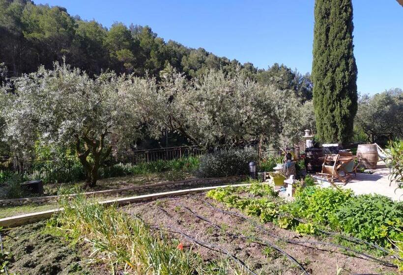 标准房带园景, Le Frangipanier