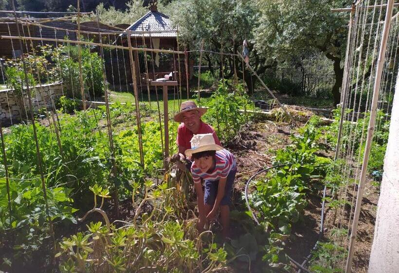 Номер Стандарт Вид на Сад, Le Frangipanier