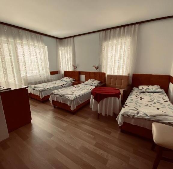 اتاق استاندارد سه تخته با بالکن, Ambient Struga