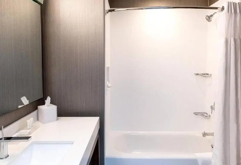 スタンダードルーム, Courtyard By Marriott Mesa At Wrigleyville West