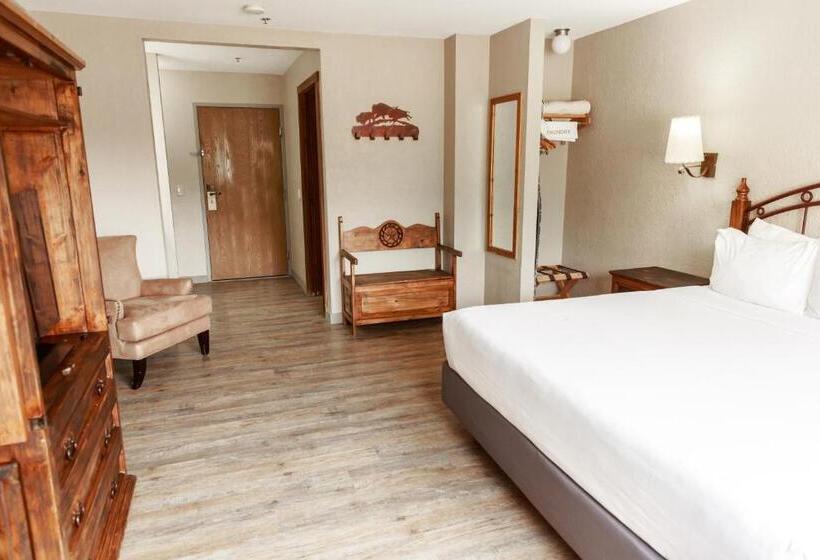 带大床的标准间, Aarchway Inn