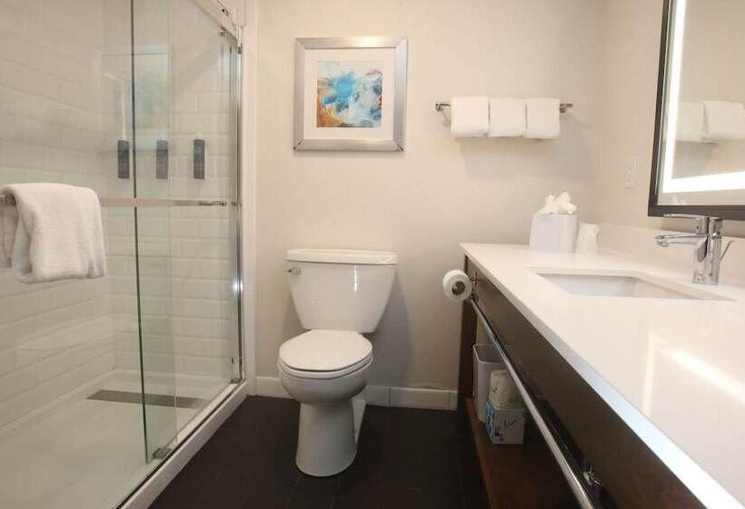 スタンダードルーム, Four Points By Sheraton Wakefield Boston Hotel & Conference Center