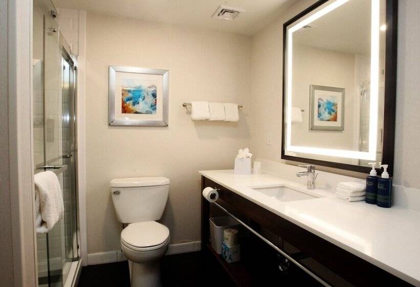 スタンダードルーム, Four Points By Sheraton Wakefield Boston Hotel & Conference Center