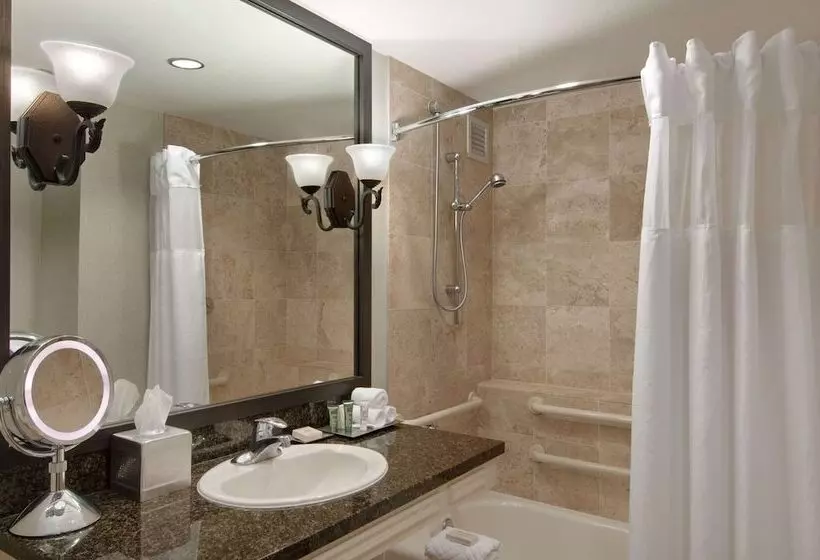 ２ダブルベッドのスタンダードルーム, Hilton San Antonio Hill Country