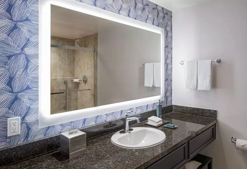 ２ダブルベッドのスタンダードルーム, Hilton San Antonio Hill Country