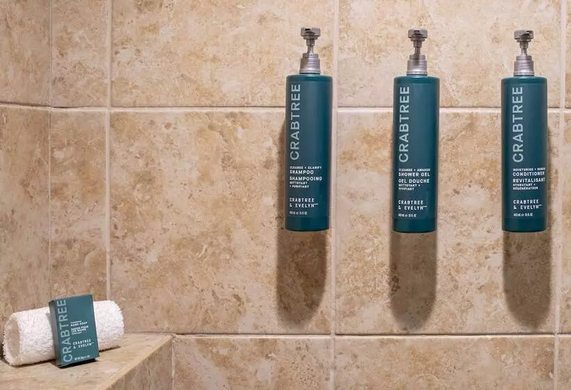 エクゼクティブスイート, Hilton San Antonio Hill Country