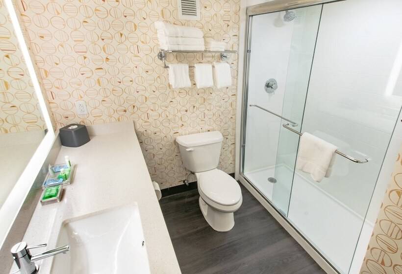 带2个双人床的标准工作室, Holiday Inn Panama City, An Ihg