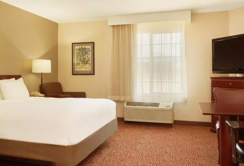 استودیوی استاندارد, Larkspur Landing Extended Stay Suites Milpitas