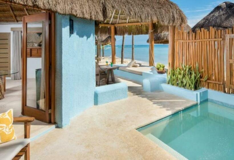 디럭스 룸 바다 전망, Mahekal Beach Front Resort & Spa