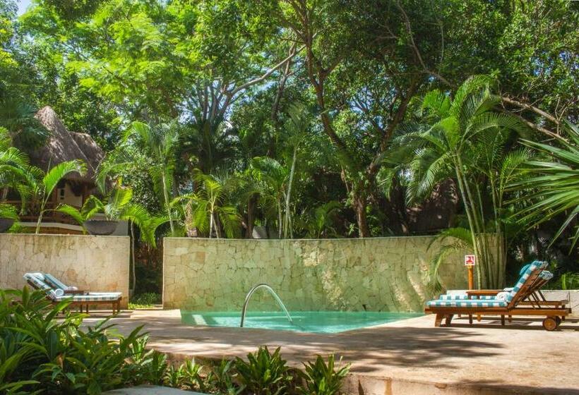 스탠다드 룸, Mahekal Beach Front Resort & Spa