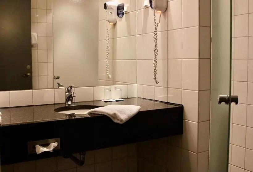 スタンダードシングルルーム, Radisson Blu Hotel I Papirfabrikken, Silkeborg