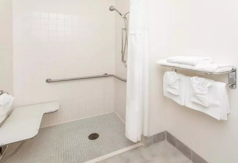 اتاق دلوکس مخصوص معلولین, Ramada Limited Decatur