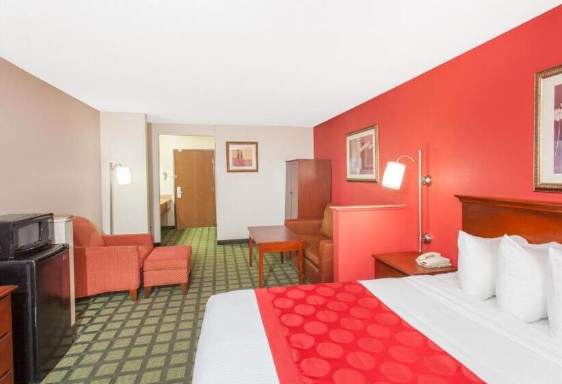 キングサイズベッドのデラックスルーム, Ramada Limited Decatur