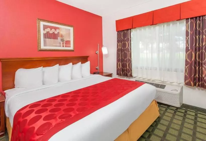 اتاق استاندارد با تخت بزرگ, Ramada Limited Decatur