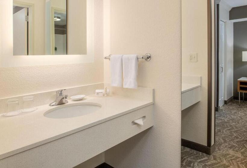 Студио Стандарт Кровать Кинг, Springhill Suites Portland Airport