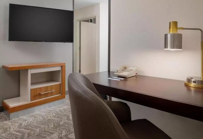 استودیو استاندارد با تخت کینگ, Springhill Suites Portland Airport
