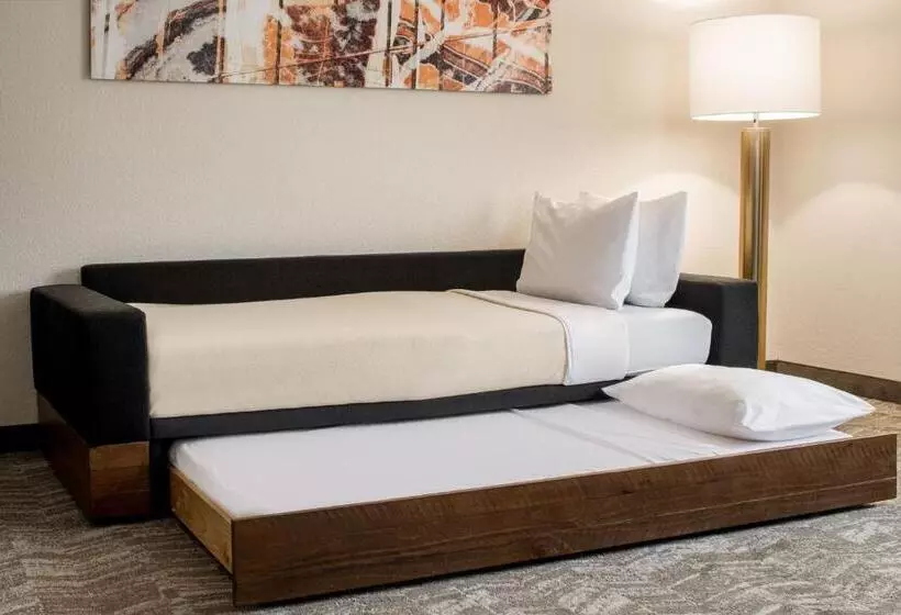 استودیوی استاندارد, Springhill Suites Portland Airport