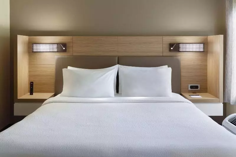 キングサイドベッドのスタンダードワンルーム, Springhill Suites Raleighdurham Airport/research Triangle Park