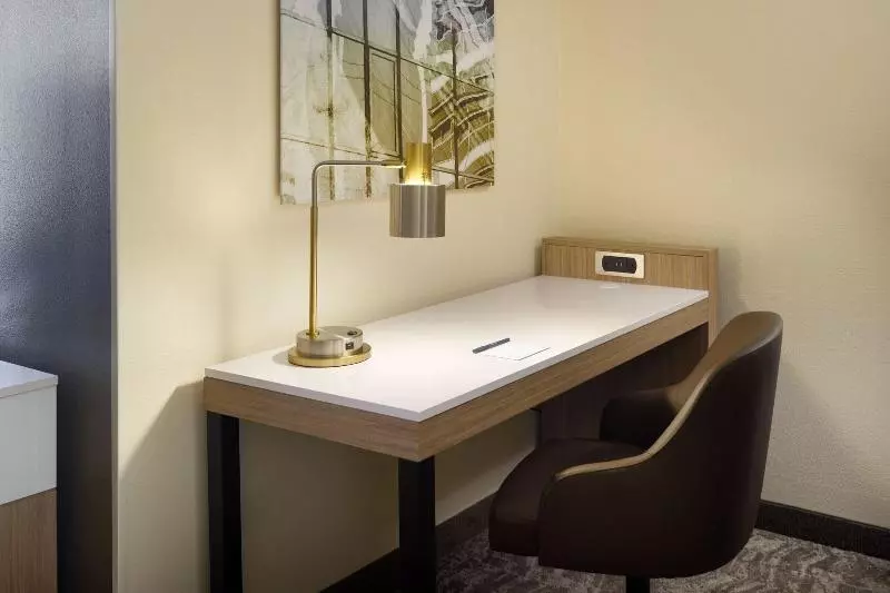 スタンダードルーム, Springhill Suites Raleighdurham Airport/research Triangle Park