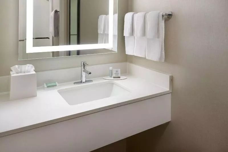 スタンダードルーム, Springhill Suites Raleighdurham Airport/research Triangle Park