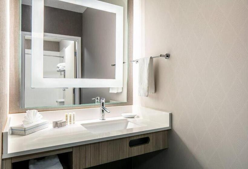 Люкс Кровать Кинг, Springhill Suites By Marriott Tulsa