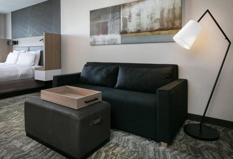 带大床的套房, Springhill Suites By Marriott Tulsa