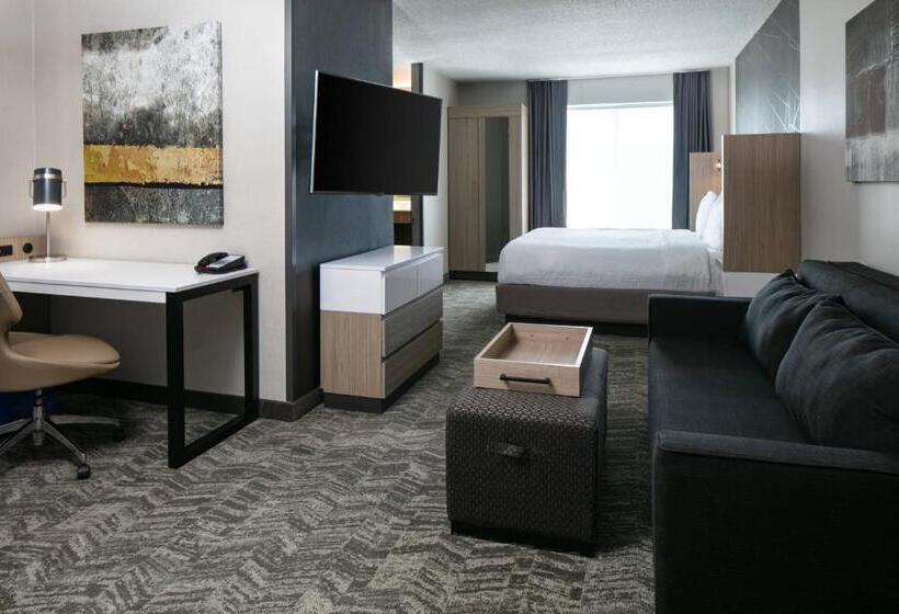 带大床的套房, Springhill Suites By Marriott Tulsa